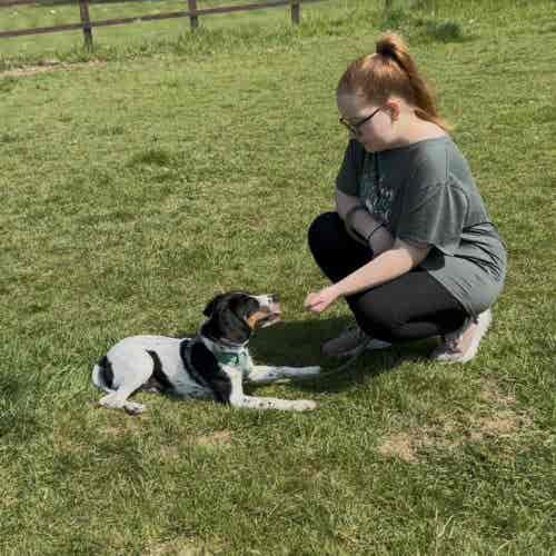 500731316_1268290278635907_330067264837810297_n